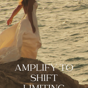 Amplify Identity masterclass Nanda Berwers
